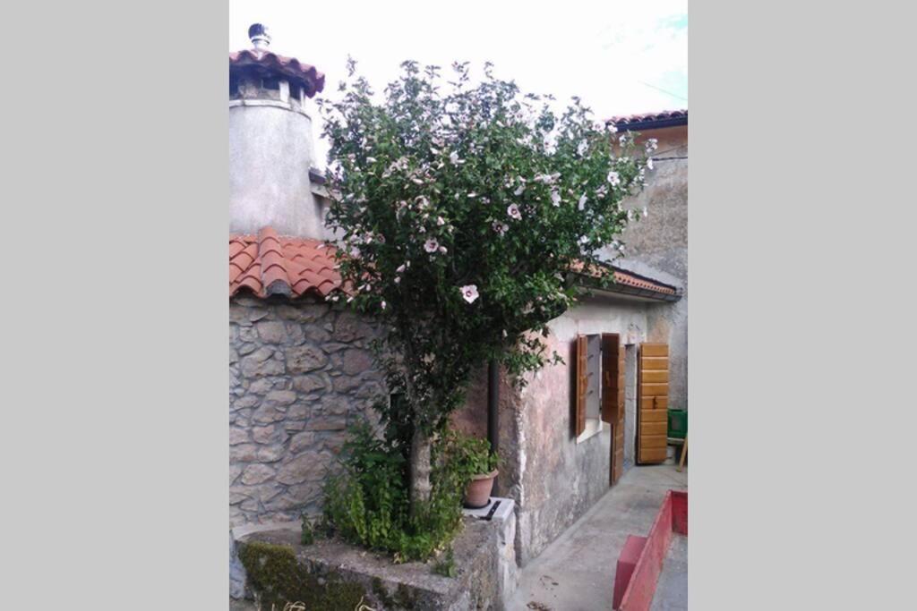 Vacation Home Marinici Mošćenička Draga Екстериор снимка